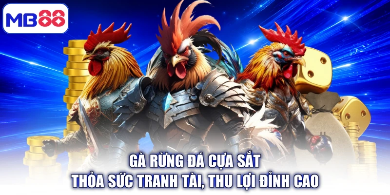 Gà Rừng Đá Cựa Sắt - Thỏa Sức Tranh Tài, Thu Lợi Đỉnh Cao