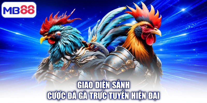 Giao diện sảnh cược đá gà trực tuyến hiện đại