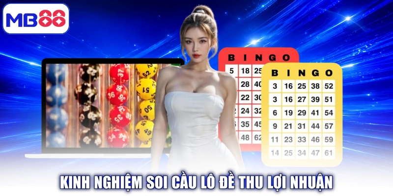Kinh nghiệm soi cầu lô đề thu lợi nhuận