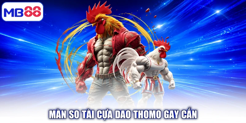 Màn so tài cựa dao Thomo gay cấn