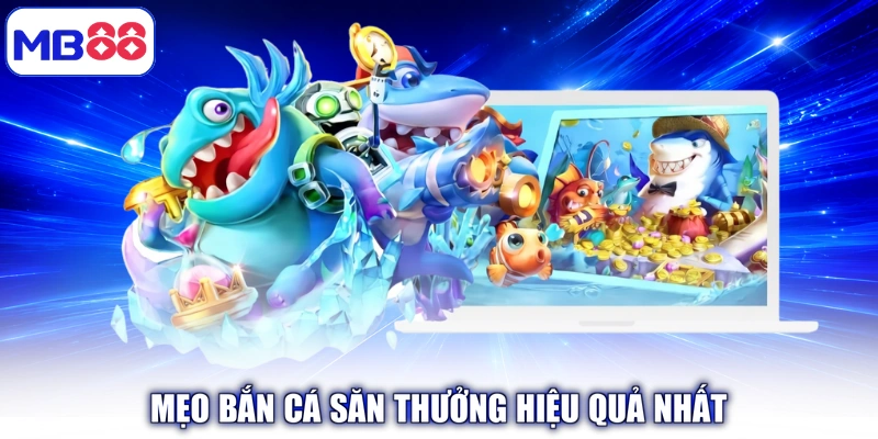 Mẹo bắn cá săn thưởng hiệu quả nhất